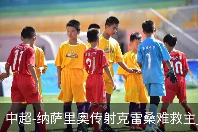 中超-纳萨里奥传射克雷桑难救主 河南2-1泰山近17年客场首胜