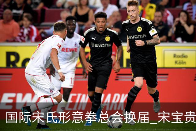 国际宋氏形意拳总会换届 宋宝贵连任会长持续推动武术海外传播
