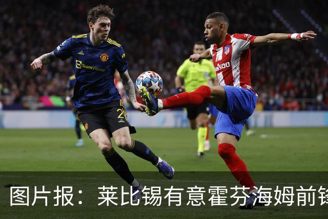 图片报：莱比锡有意霍芬海姆前锋阿斯拉尼，多特、巴萨也关注球员