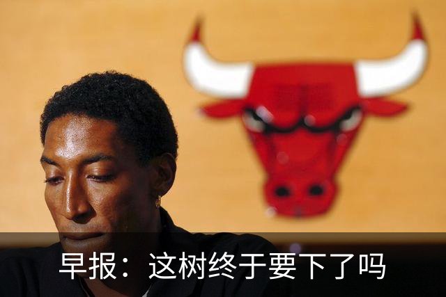 早报：这树终于要下了吗