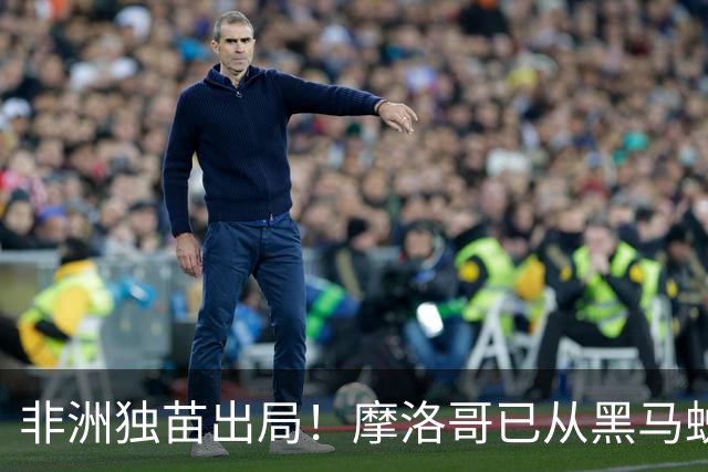 非洲独苗出局！摩洛哥已从黑马蜕变为劲旅 四年后主场见
